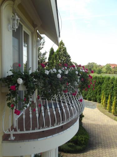 المرافق, Villa Rosa in هاجدوس زوبوزلو