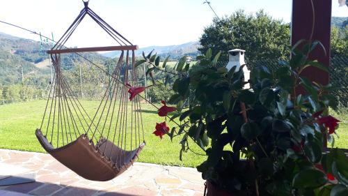 Casa Rural Amazonas