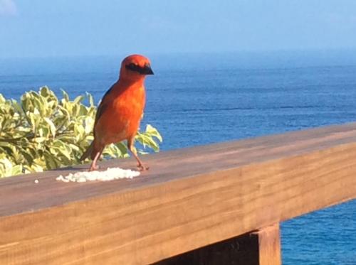 维麦尔斯小屋 维麦尔斯小屋