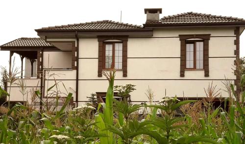  Ayla Villa Pansiyon in Masukiye