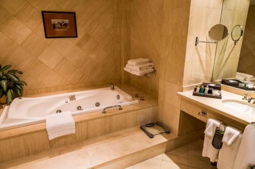 InterContinental Buenos Aires by IHG, Buenos Aires (fotografie 4)