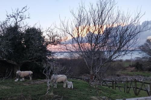 Groff Cottage Groff Cottage