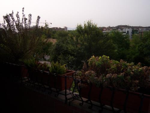 Talenti house Giubileo 2025, Rome (photo 9)