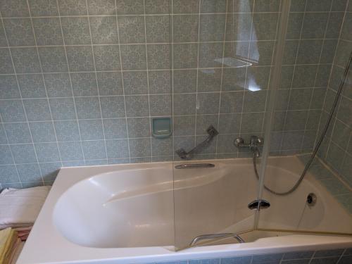 Zuhanyzó, Ferienwohnung Fockler in Landstuhl