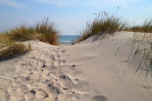 Osterlens Parla in Borrby