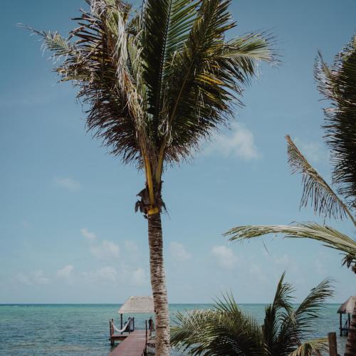 Cielo Maya Beach