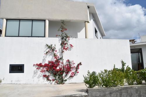  Casa das Buganvilias in São Sebastião