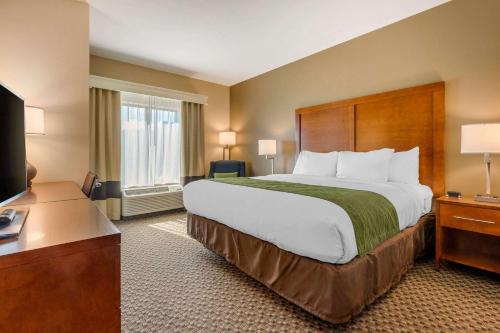 1 King Bed, Suite, Nonsmoking, Accessible