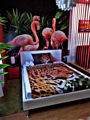 FLAMINGOS Apartman & Fitness OSIJEK - image 14