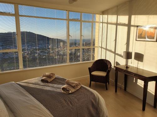 Disa Park 14th Floor Apartment with City Views in Vredehoek