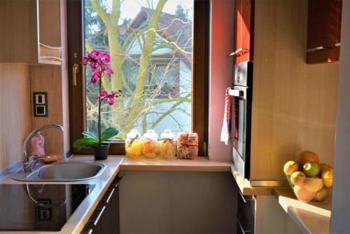 Mala Italia Apartments, Breslau (Foto 6)