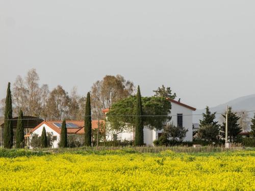 B&B Podere684