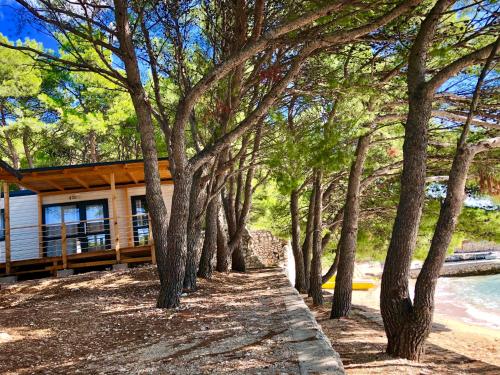 Kamp Dole - Navores, Zivogosce | 2026 Updated Prices, Deals