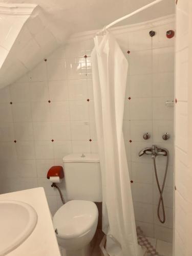  Aposperia Traditional Karpathian Loft in Karpathos