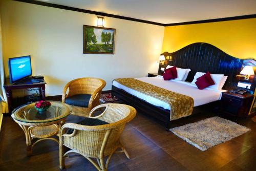 Super Luxury Double Room image 10