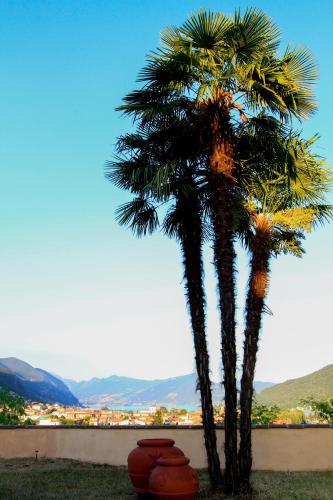 B&B La Fenice sul Lago 1