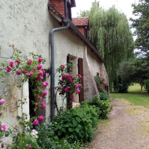 Au jardin de Grand-Père