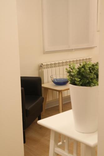 Hostal Mónaco - image 3