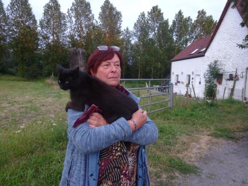  Ferme Lenfant Rez in Ville-Pommeroeul
