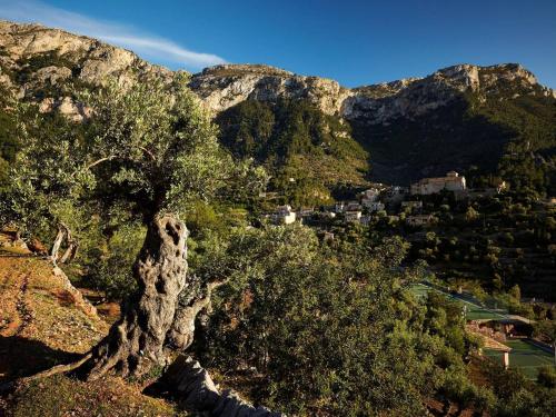 22191703 La Residencia, A Belmond Hotel, Mallorca