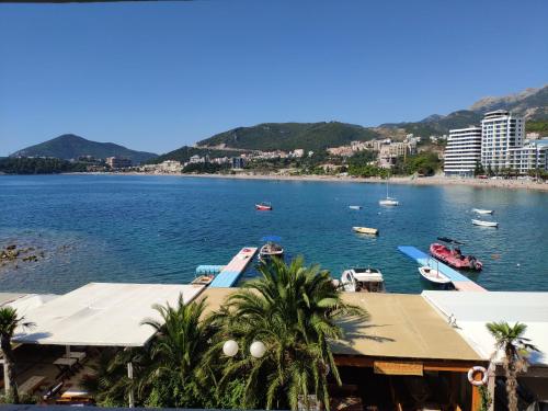 Apartments Stević - Monaco - image 2