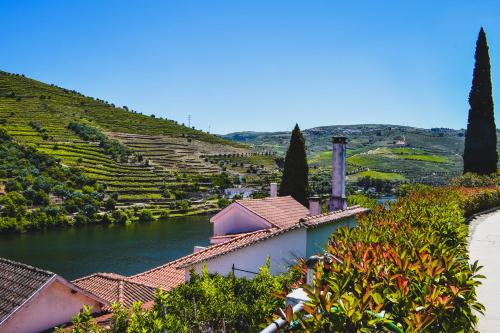 Quinta de la Rosa