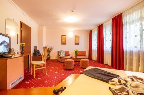 Hotel Villa Boyana - image 11