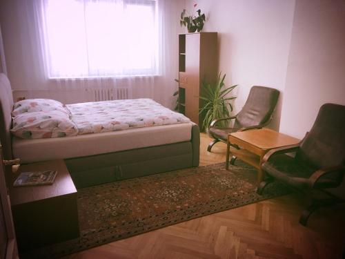 Apartment Anna Vysehrad, Praha (fotografie 5)