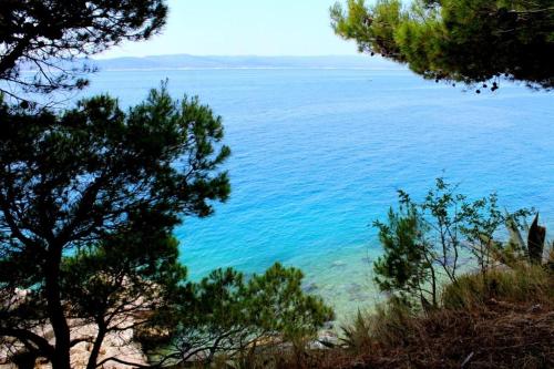 Apartments by the sea Brela Makarska - 6689