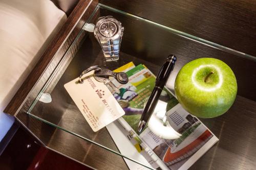 Hotel Villa Boyana - Free Parking, Sofie (fotografie 9)
