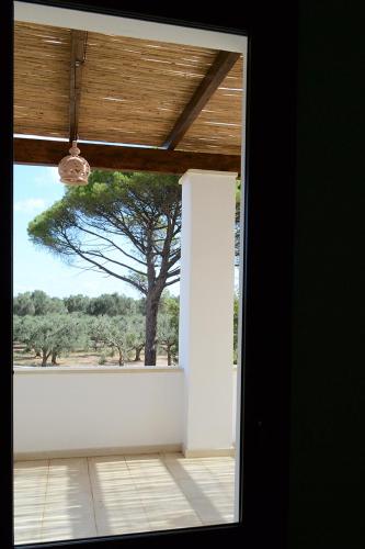 Tenuta Afra - image 4