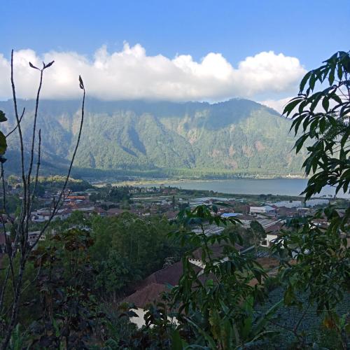 Surrounding environment, ECO Bedugul adventurer camp near Bedugul Botanical Garden