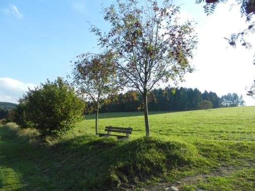 Waldgasthof & Hotel Am Sauwald