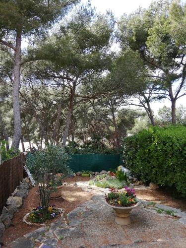 T2 Rez de jardin 300m Plage de Beaucours Sanary sur Mer