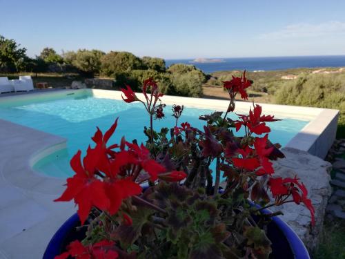 La Sima villa con piscina vista mare San Pantaleo Sardegna Olbia
