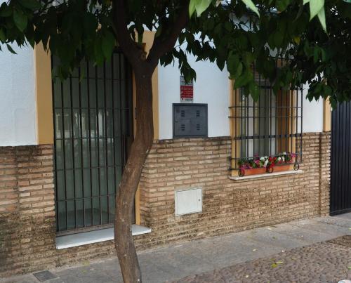 CALLE ABEJAR,PLAZA, Córdoba (fotografie 2)