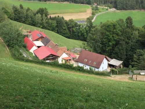 Haflingerhof Luef