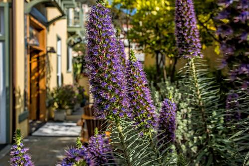 The Avalon Hotel in Catalina Island - image 6