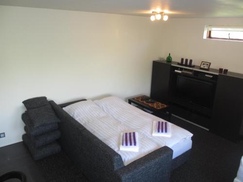 Ártún Apartment - image 4
