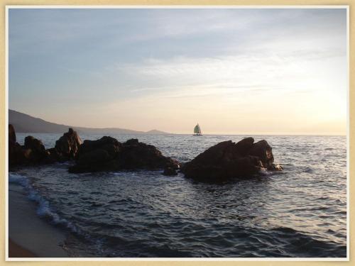 U Cantu Grillu chambre d'hôte Propriano