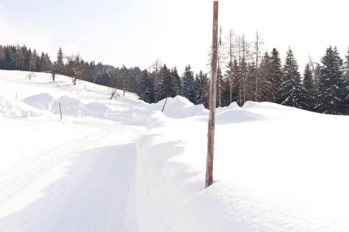 Hotel Alpenkrone - image 13