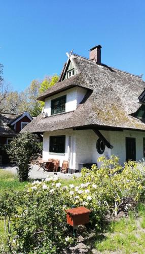 Darßer Strandgut - Haus Butzek in Ahrenshoop, Deutschland