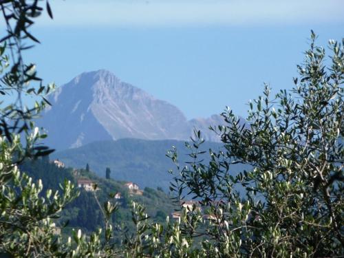 Fattoria di Camporomano