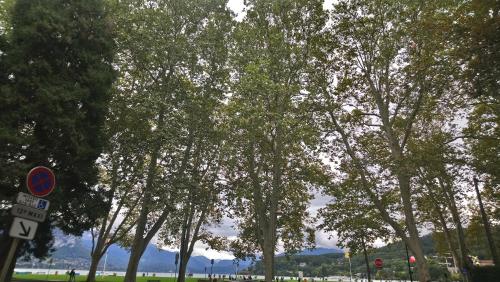 Résidence Albigny Studio Vue Sur Lac Centre-ville d'Annecy