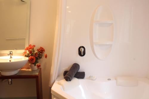 特索里汽车旅馆