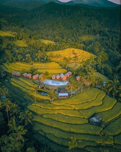 Puri Sunny Camp, Munduk