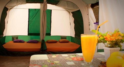 Camping Nopigia - image 12