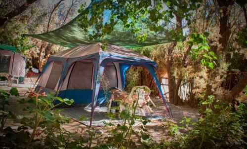 Camping Nopigia - image 14