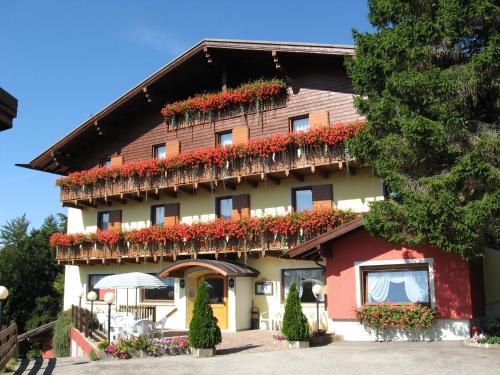 Albergo Villa Cristina - Hotel - Folgaria