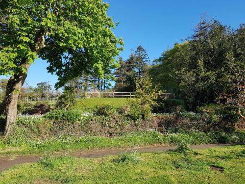 222214096 Great Trethew Manor Hotel & Self Catering Lodges